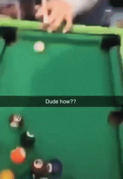 Acid GIFs, February 4 (25 gifs)