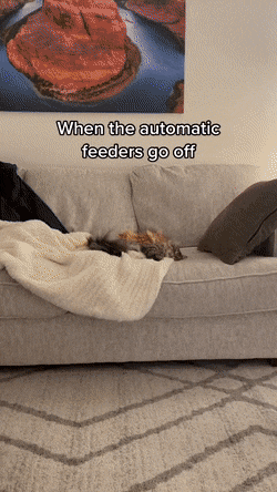 Acid GIFs, February 4 (25 gifs)