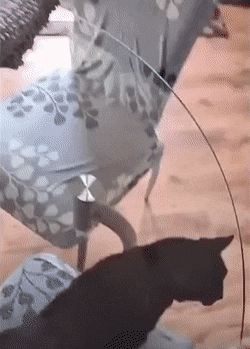 Acid GIFs, February 4 (25 gifs)