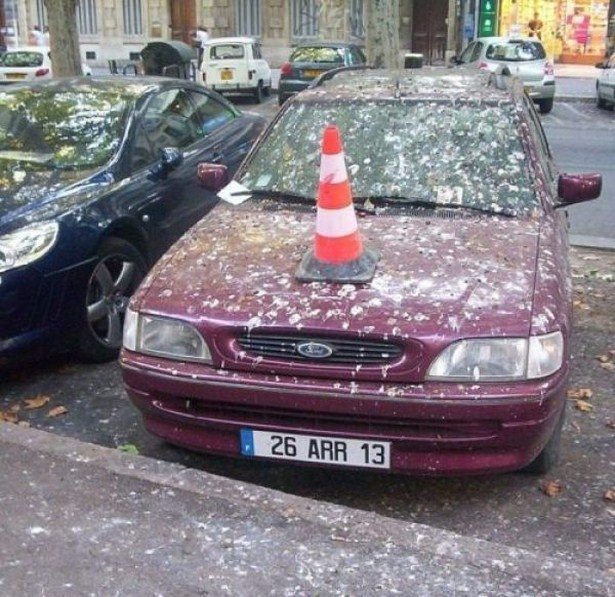 Bad Days Happen (27 pics)