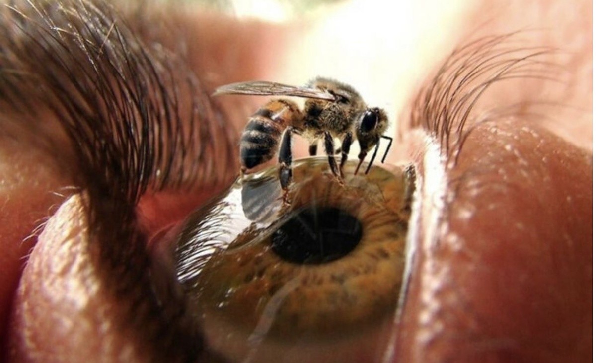 Creepy Photos (20 pics) Creepy Photos (20 pics)