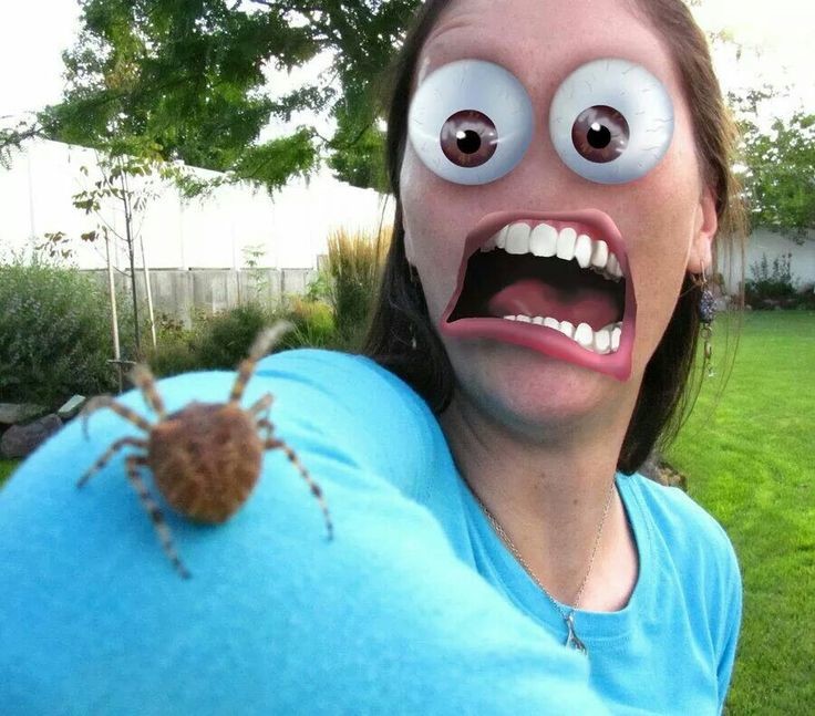 Creepy Photos (20 pics)