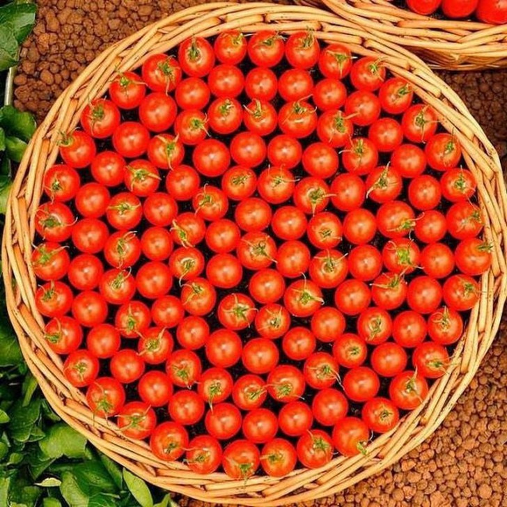 Photos For Perfectionists (19 pics) Photos For Perfectionists (19 pics)