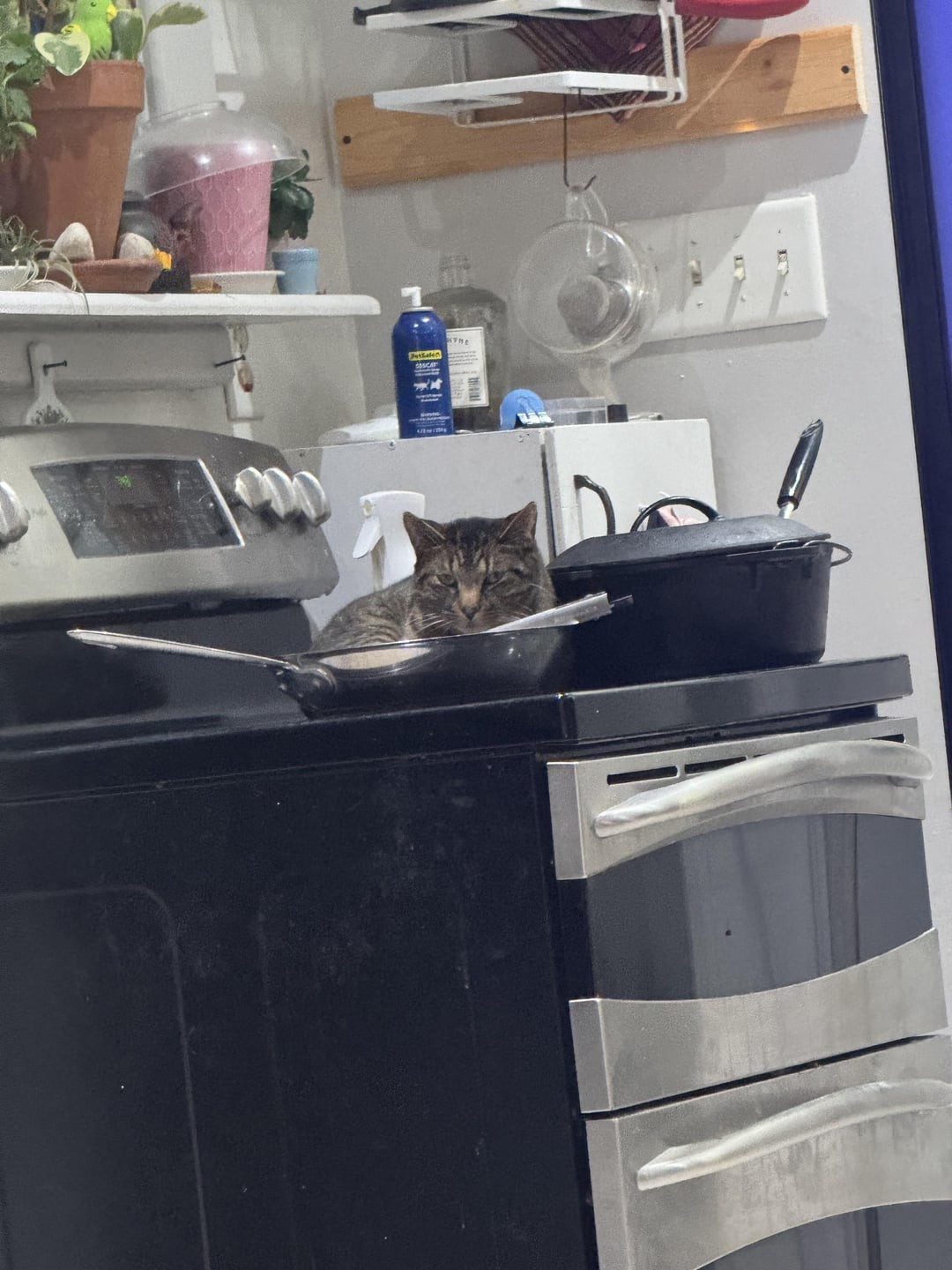 Optical Illusions (20 pics) Optical Illusions (20 pics)