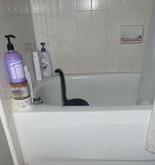 Optical Illusions (20 pics) Optical Illusions (20 pics)