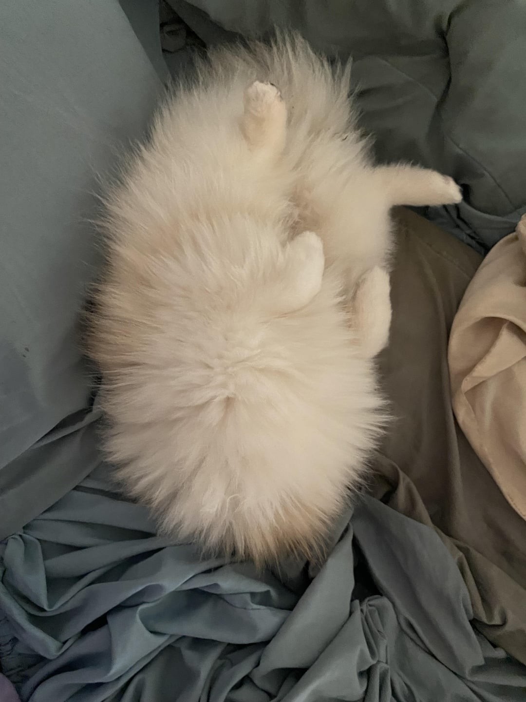 Optical Illusions (20 pics) Optical Illusions (20 pics)