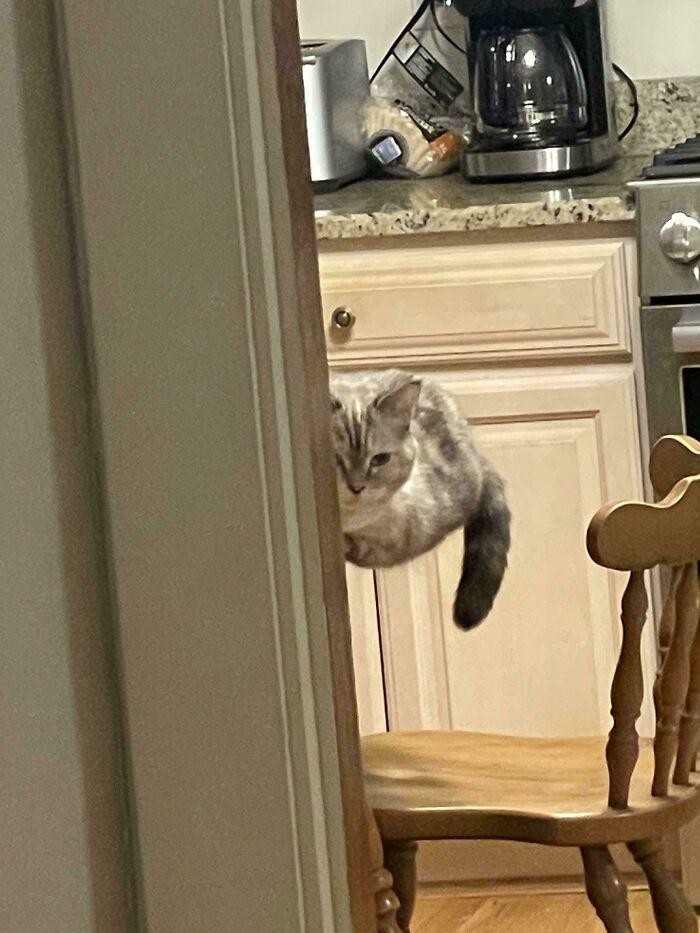 Optical Illusions (20 pics) Optical Illusions (20 pics)