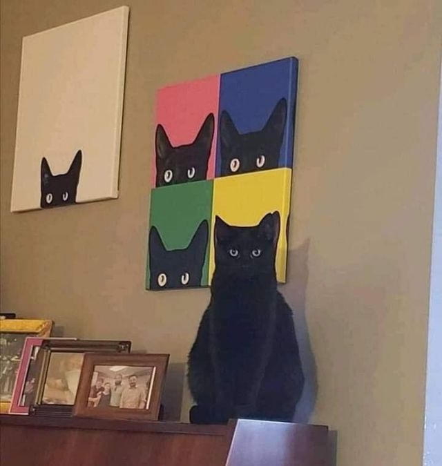 Perfect Matches (15 pics)