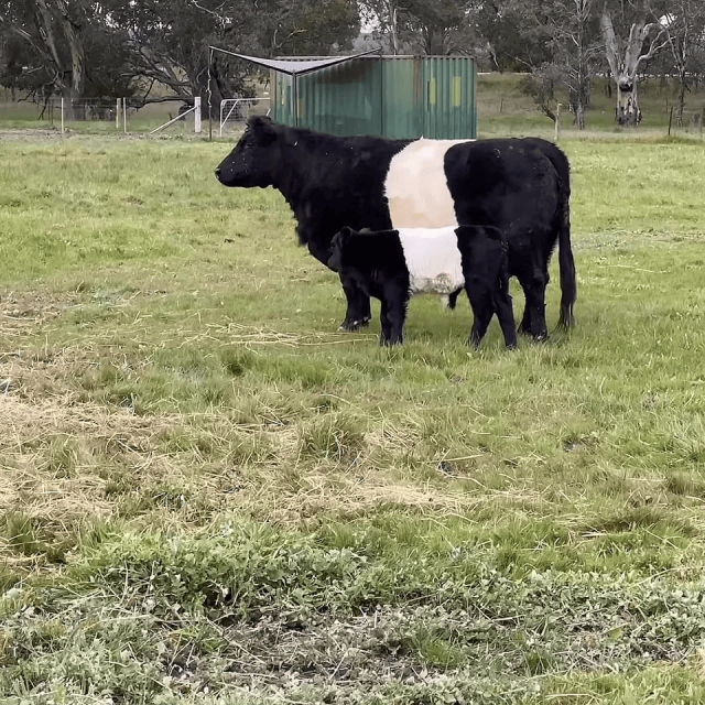 Perfect Matches (15 pics)