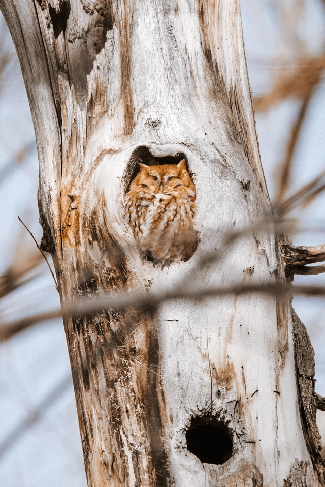 Perfect Matches (15 pics)