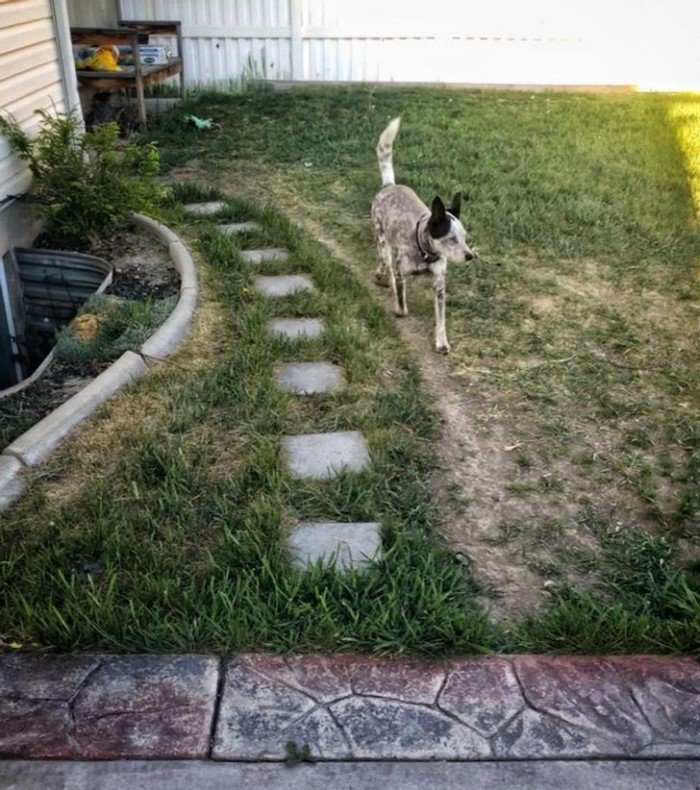 Time Changes Everything (18 pics)