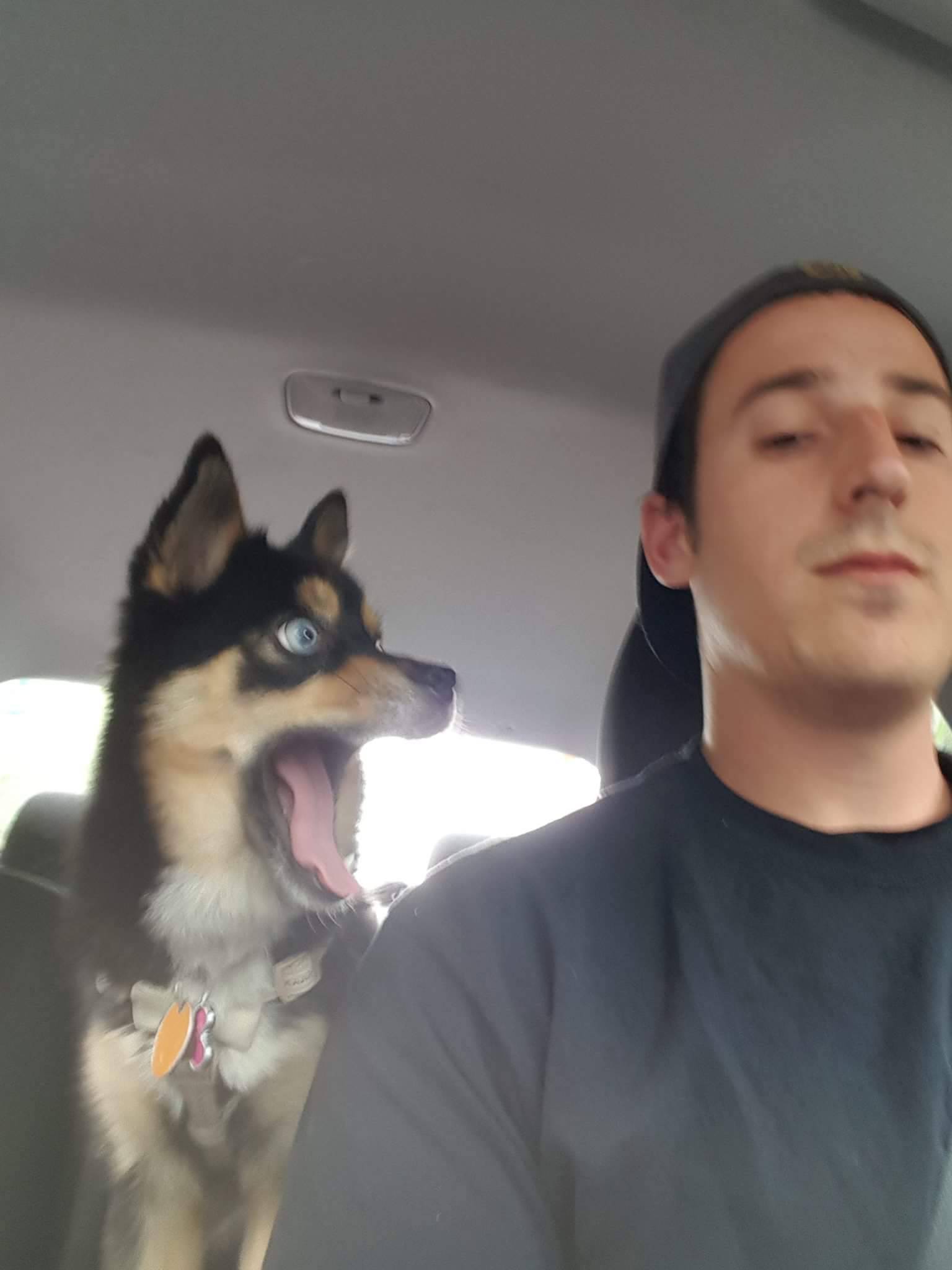 Daily Pictures. Part 1 (63 pics)