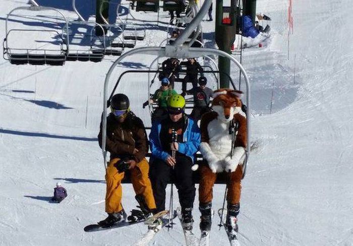 Daily Pictures. Part 1 (63 pics)