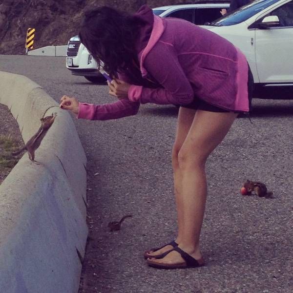 Daily Pictures. Part 1 (63 pics)