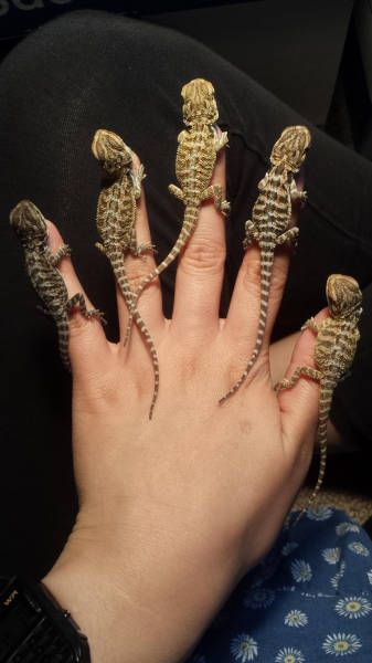 Daily Pictures. Part 1 (63 pics)