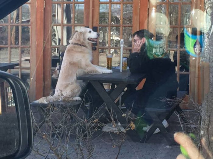 Daily Pictures. Part 1 (63 pics)