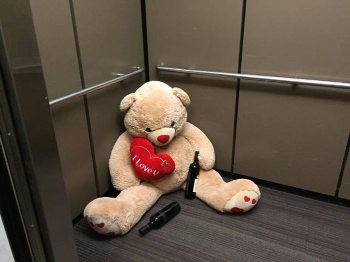 Daily Pictures. Part 1 (63 pics)