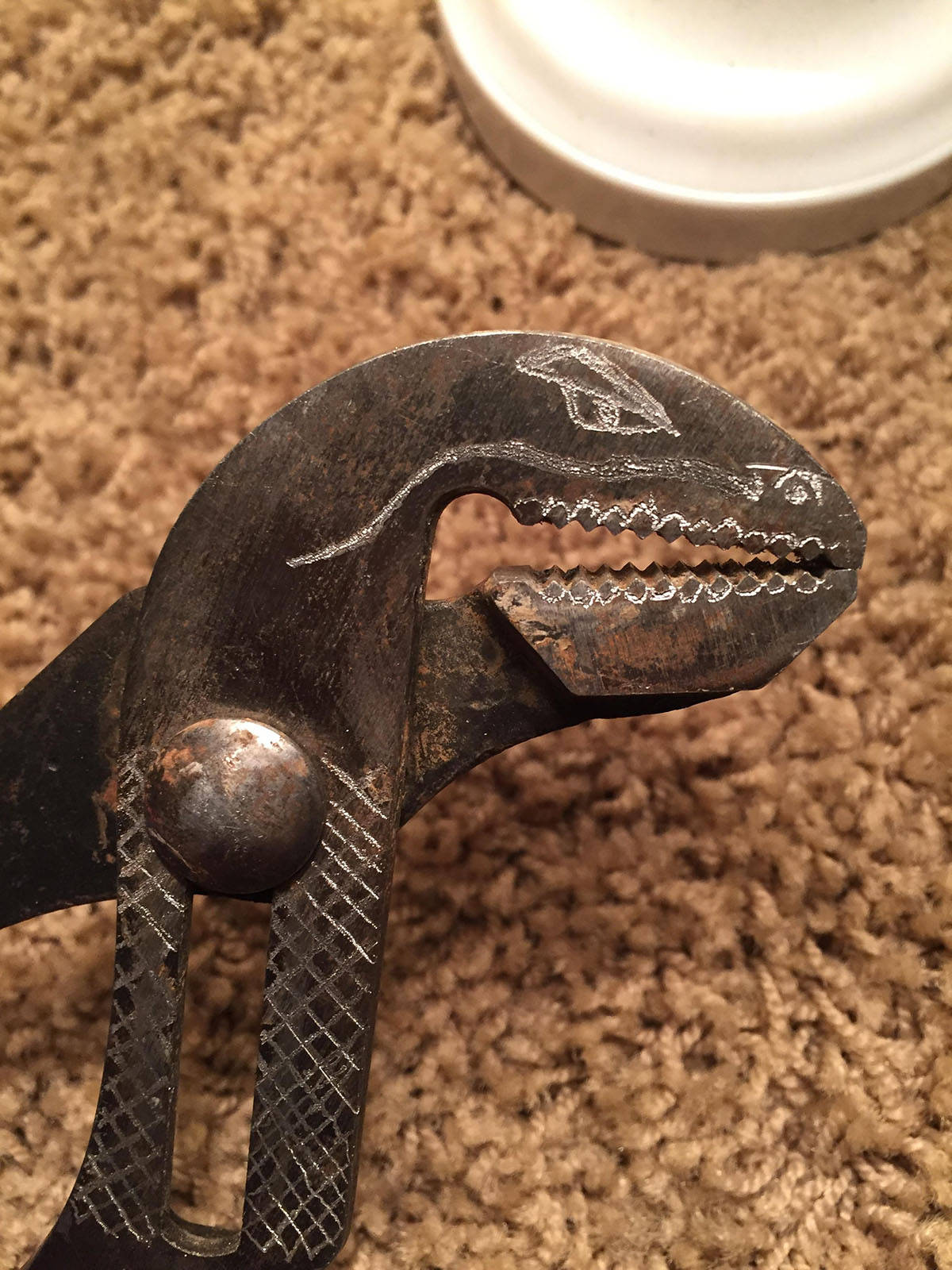 Daily Pictures. Part 1 (63 pics)