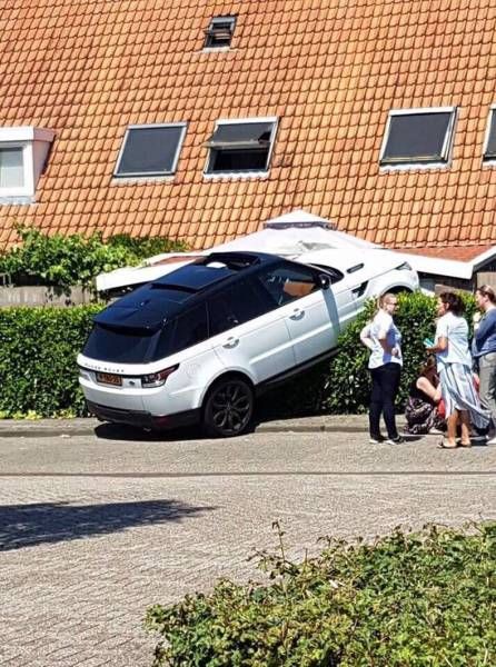 Daily Pictures. Part 1 (63 pics)