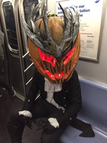 Daily Pictures. Part 1 (63 pics)