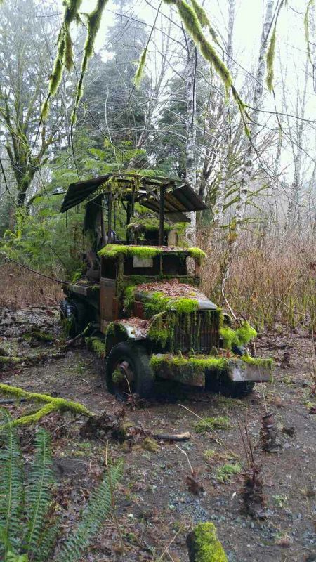 Daily Pictures. Part 1 (63 pics)