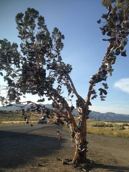 Daily Pictures. Part 1 (63 pics)