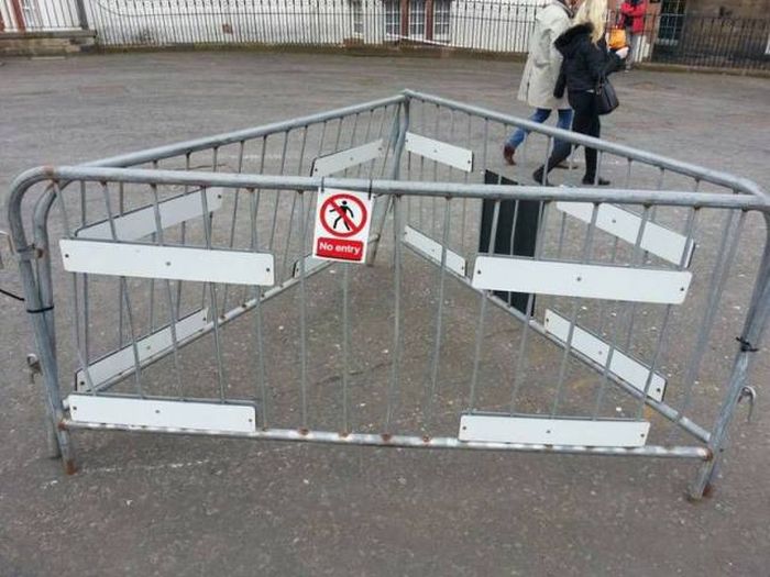 Daily Pictures. Part 1 (63 pics)