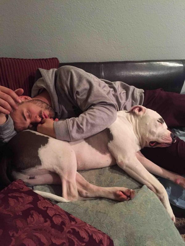 Daily Pictures. Part 1 (63 pics)