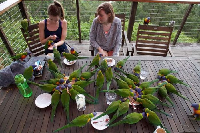 Daily Pictures. Part 1 (63 pics)