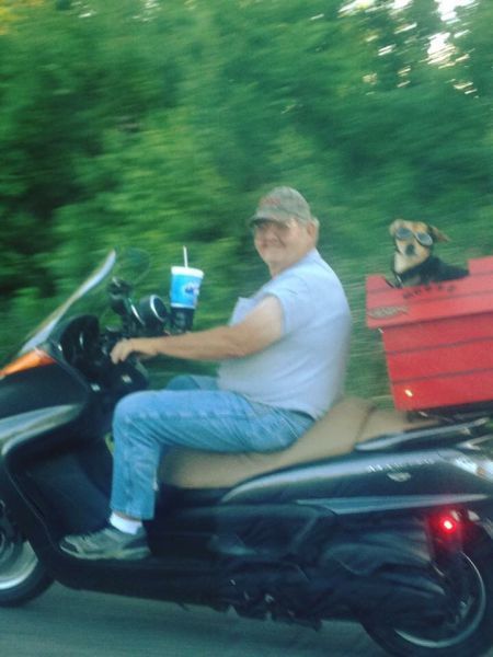 Daily Pictures. Part 1 (63 pics)