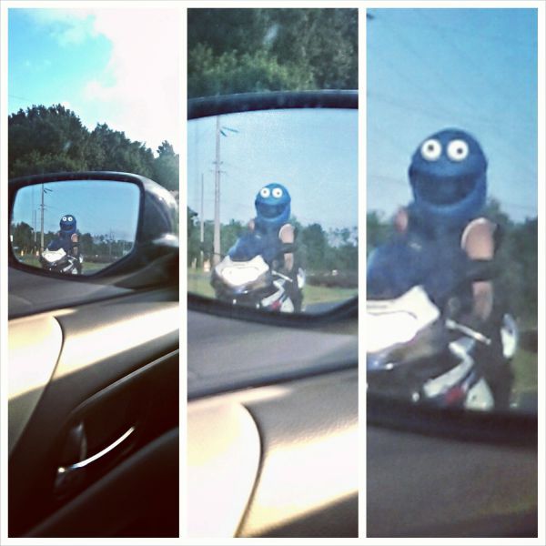 Daily Pictures. Part 1 (63 pics)