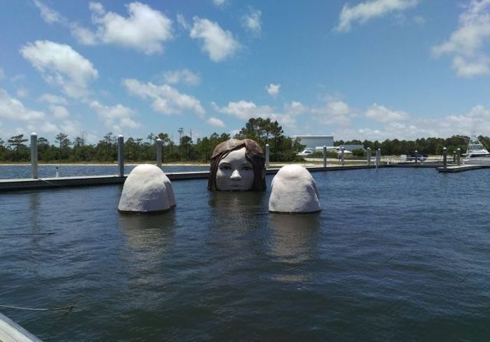 Daily Pictures. Part 1 (63 pics)