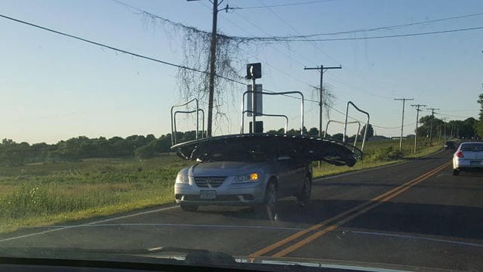 Daily Pictures. Part 2 (62 pics)