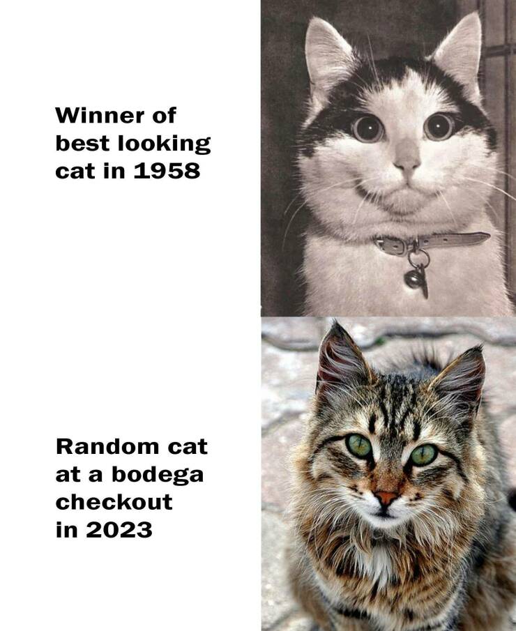 Daily Pictures. Part 2 (62 pics)