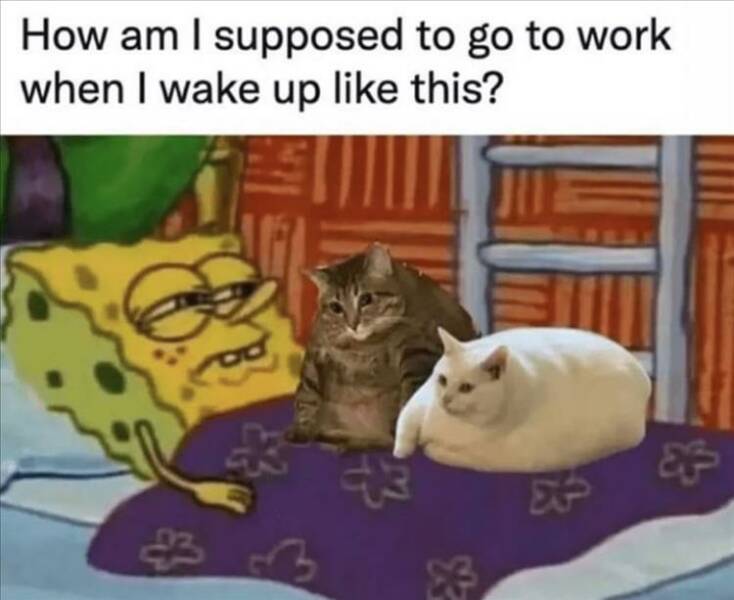 Daily Pictures. Part 2 (62 pics)