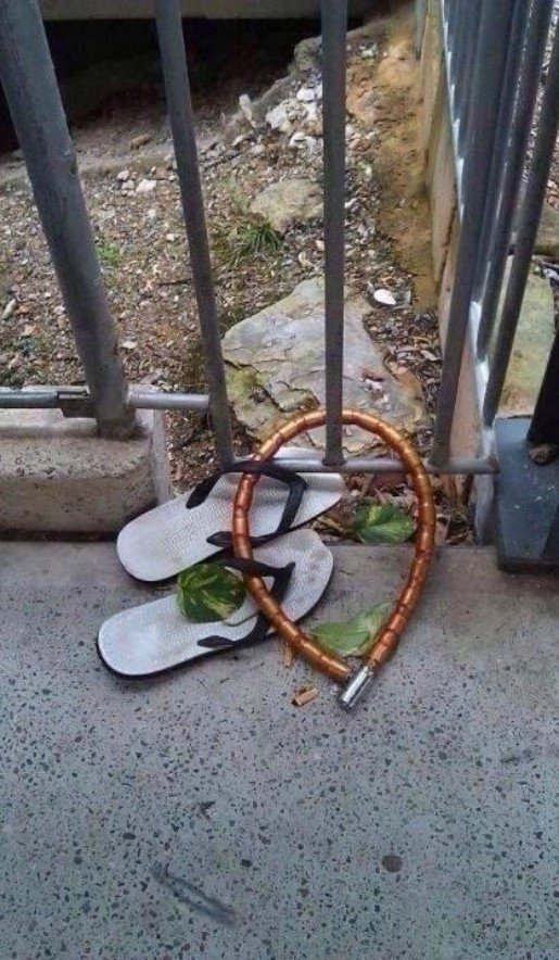 Daily Pictures. Part 2 (62 pics)