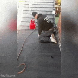 Acid GIFs, February 5 (25 gifs) Acid GIFs, February 5 (25 gifs)