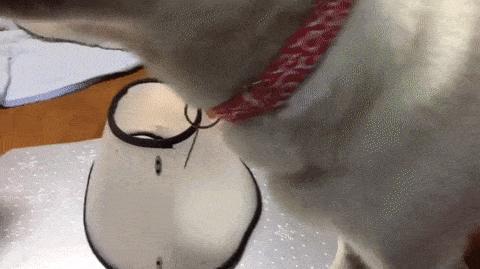 Acid GIFs, February 5 (25 gifs) Acid GIFs, February 5 (25 gifs)