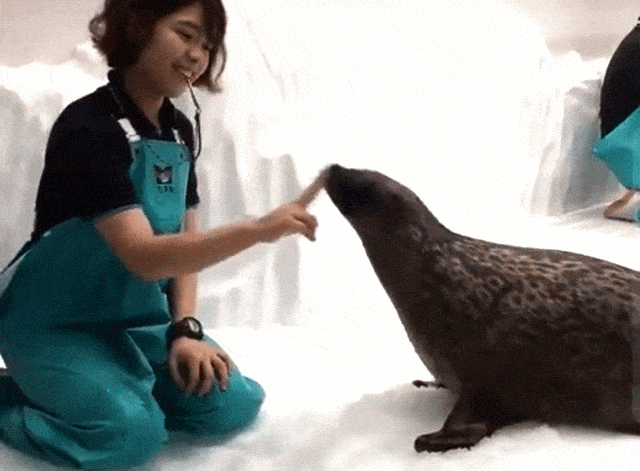 Acid GIFs, February 5 (25 gifs) Acid GIFs, February 5 (25 gifs)