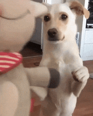 Acid GIFs, February 5 (25 gifs) Acid GIFs, February 5 (25 gifs)