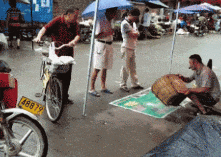 Acid GIFs, February 5 (25 gifs) Acid GIFs, February 5 (25 gifs)