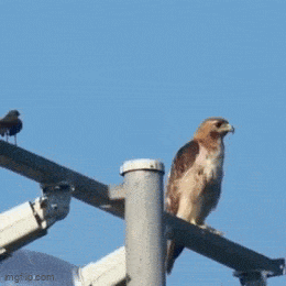 Acid GIFs, February 5 (25 gifs) Acid GIFs, February 5 (25 gifs)