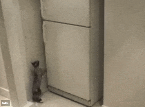 Acid GIFs, February 5 (25 gifs) Acid GIFs, February 5 (25 gifs)