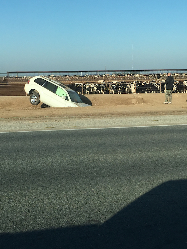 Unfortunate And Annoying Situations (25 pics) Unfortunate And Annoying Situations (25 pics)