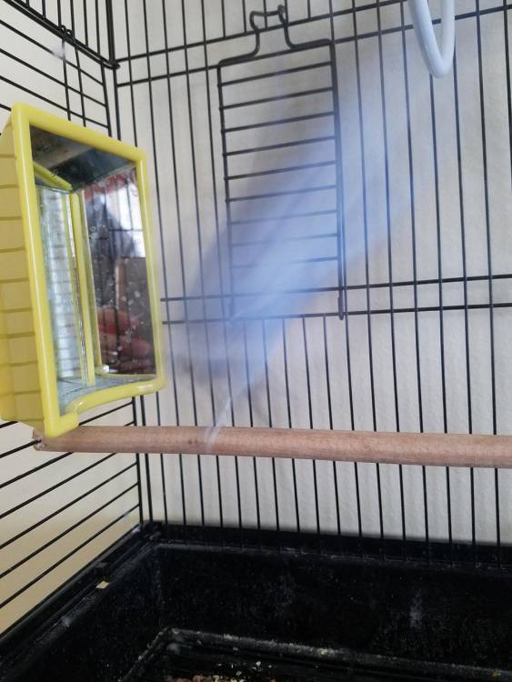 Right Moment (21 pics) Right Moment (21 pics)