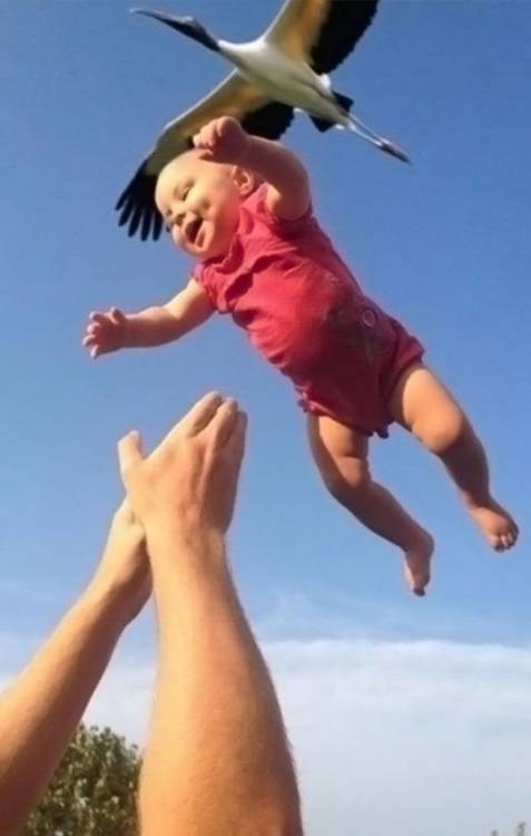 Right Moment (21 pics) Right Moment (21 pics)