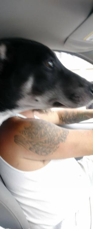 Right Moment (21 pics) Right Moment (21 pics)