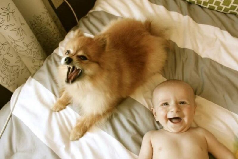 Right Moment (21 pics) Right Moment (21 pics)