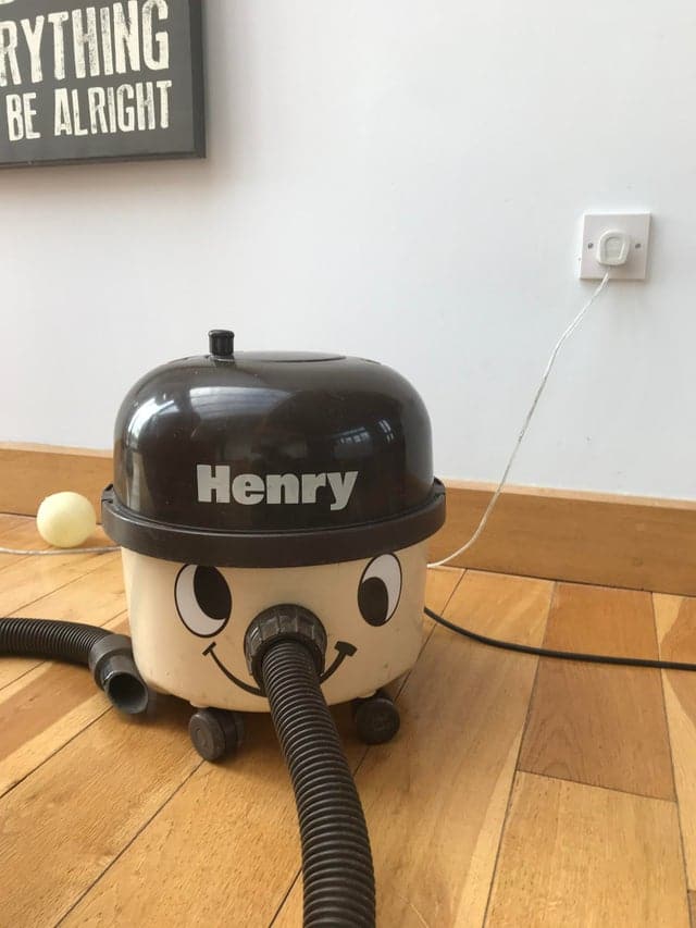 Immortal Things From The Past (20 pics)