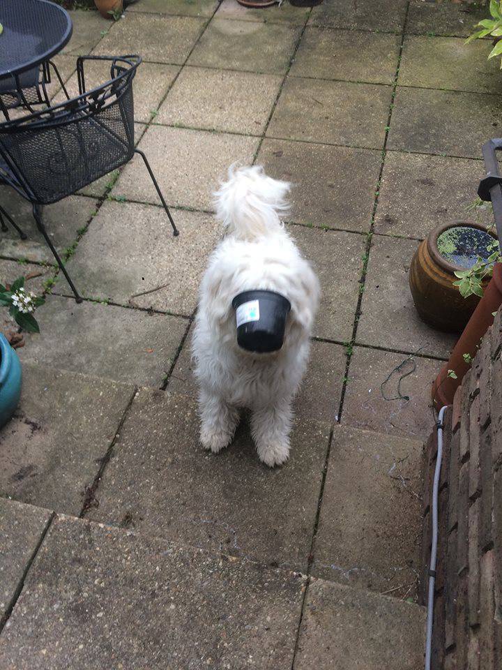 Daily Pictures. Part 1 (66 pics)